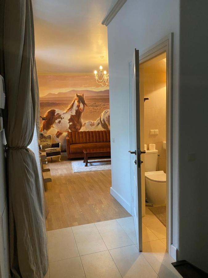 Exclusive Gaono Apartment In The Heart Of Old Town Vilnius Luaran gambar