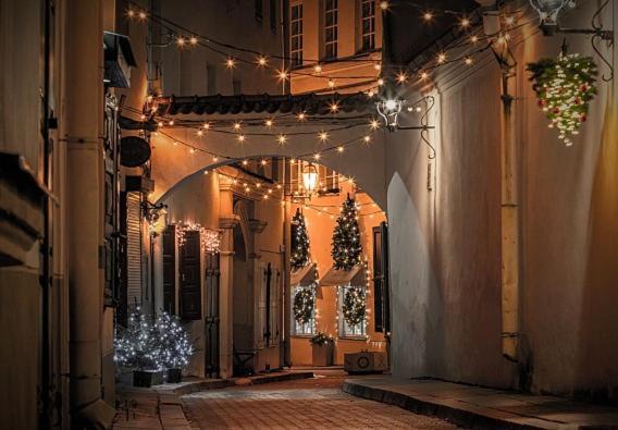 Exclusive Gaono Apartment In The Heart Of Old Town Vilnius Luaran gambar